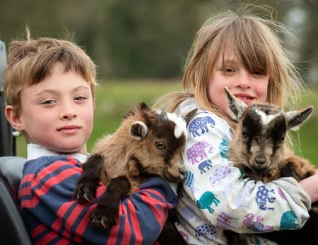 Farm fun holidays with baby goats