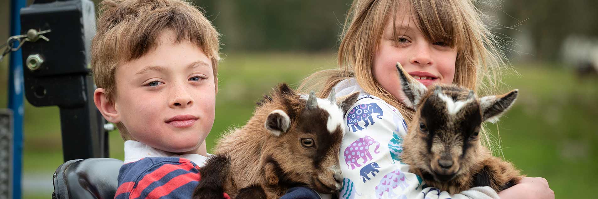 Holding baby goats