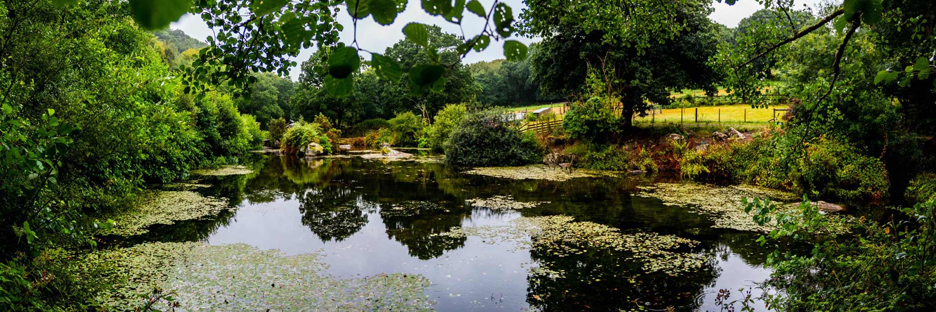 Lake at Coombe Mill