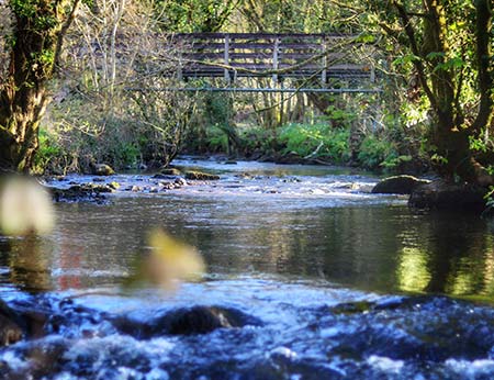 River and bridge at Coombe Mill