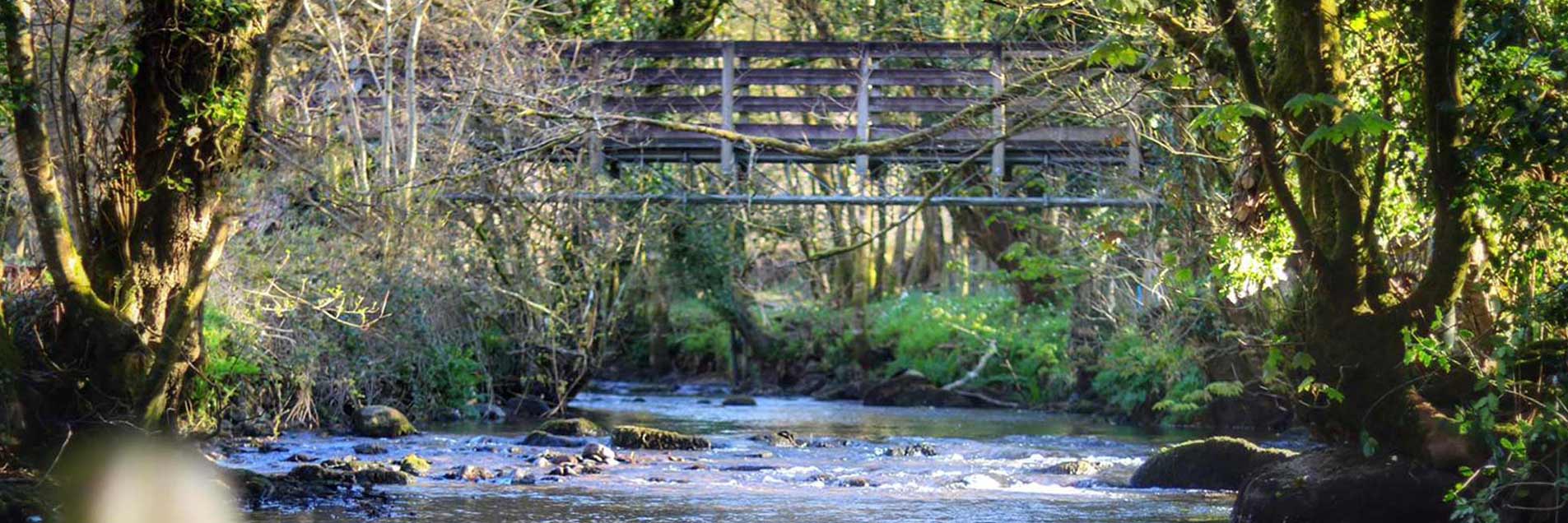 River at Coombe Mill